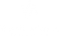 Valentis Advisors